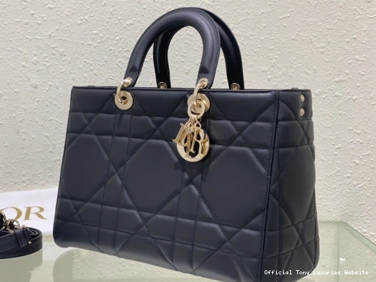 Tony Luxuries Lady ABC D-Sire diro-35*23*15CM diro My 0731